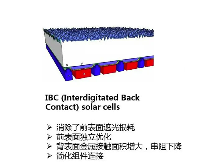 IBC电池.jpg